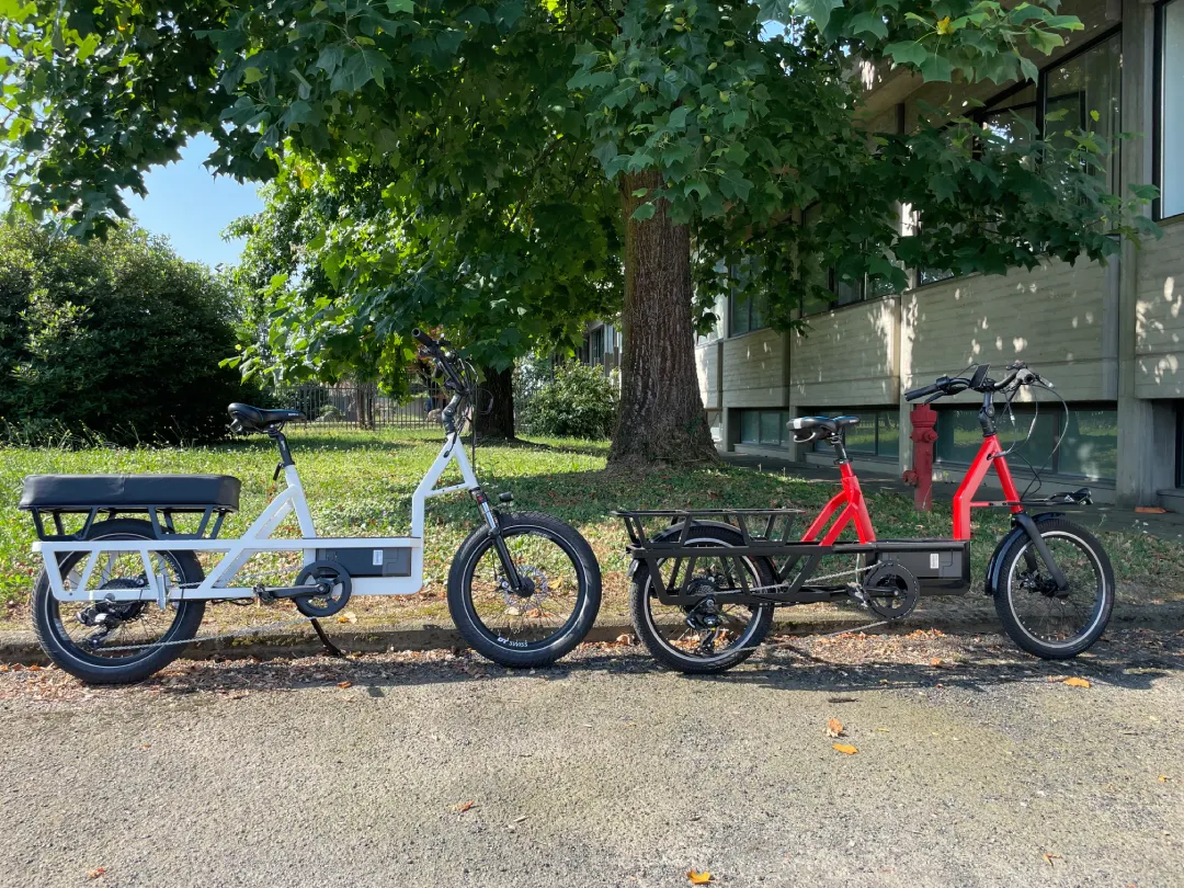 MEM Longtail Bike